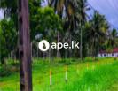 Lands For Sale In KULIYAPITTIYA